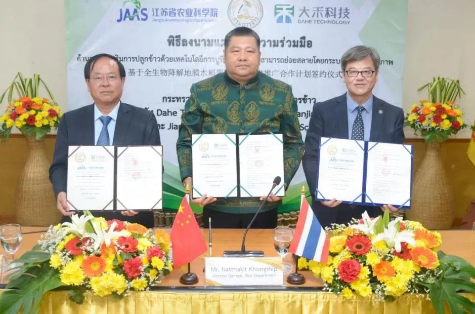 1743042193127490.jpg 80f9677000dd6372463239a95ef1338b.jpg