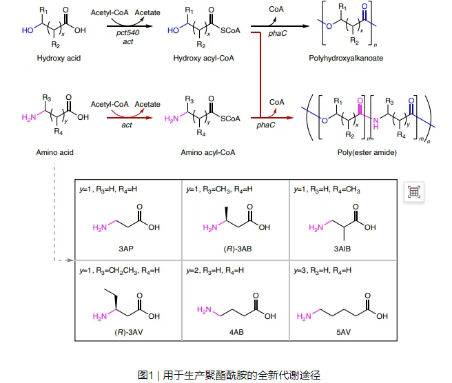 1744857475127911.png image.png