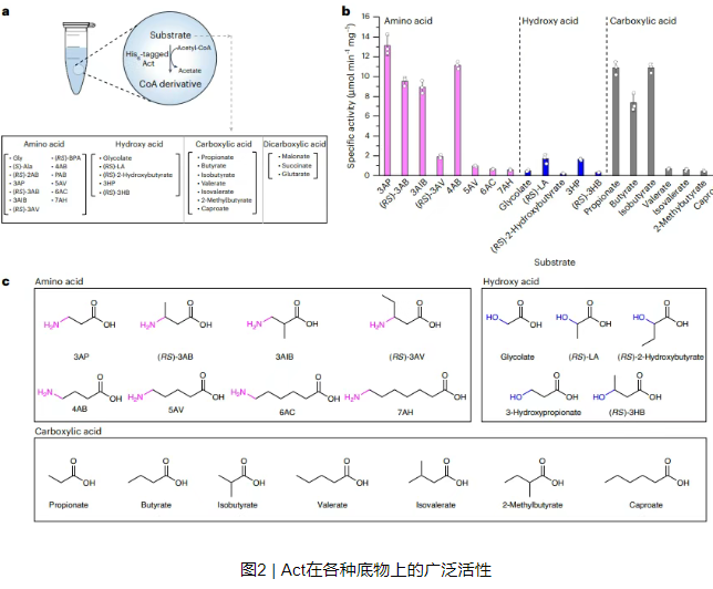 1744857503104498.png image.png