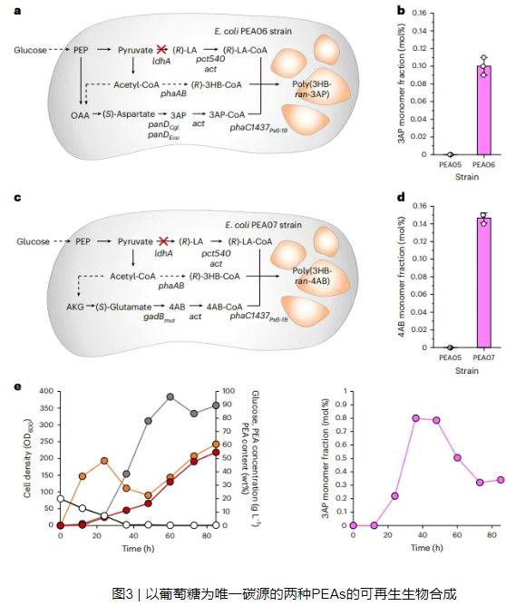 1744857525905948.png image.png