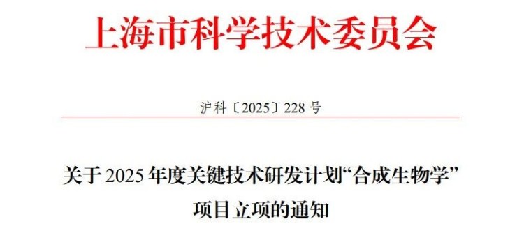 1750865460410265.jpg 1.1.jpg