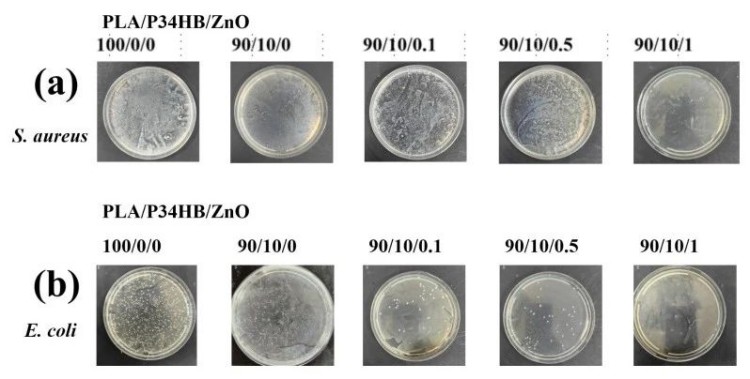 1751386153116607.jpg 2.4.jpg