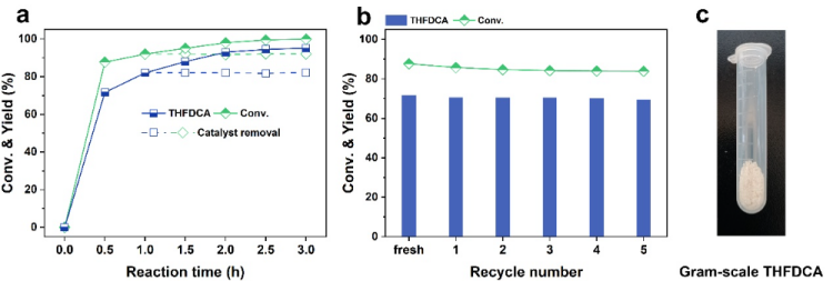 1751387191893727.png 1.5(1).png