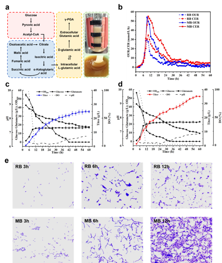 1751389012631749.png 6.3.png