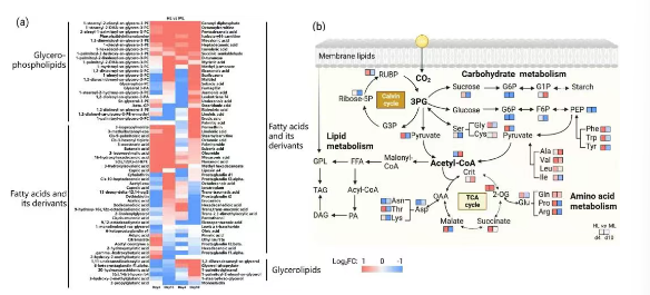 1752109856113035.png image.png