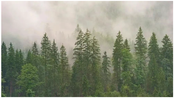 1752195495499297.png image.png