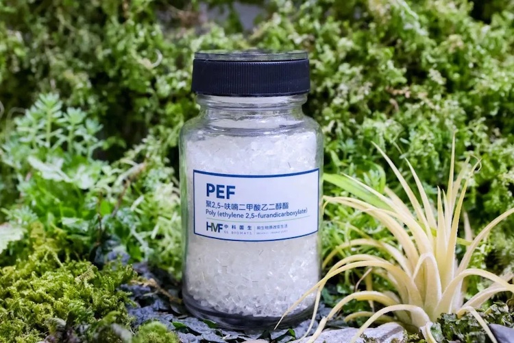 1754121892112308.jpg 3.3.jpg