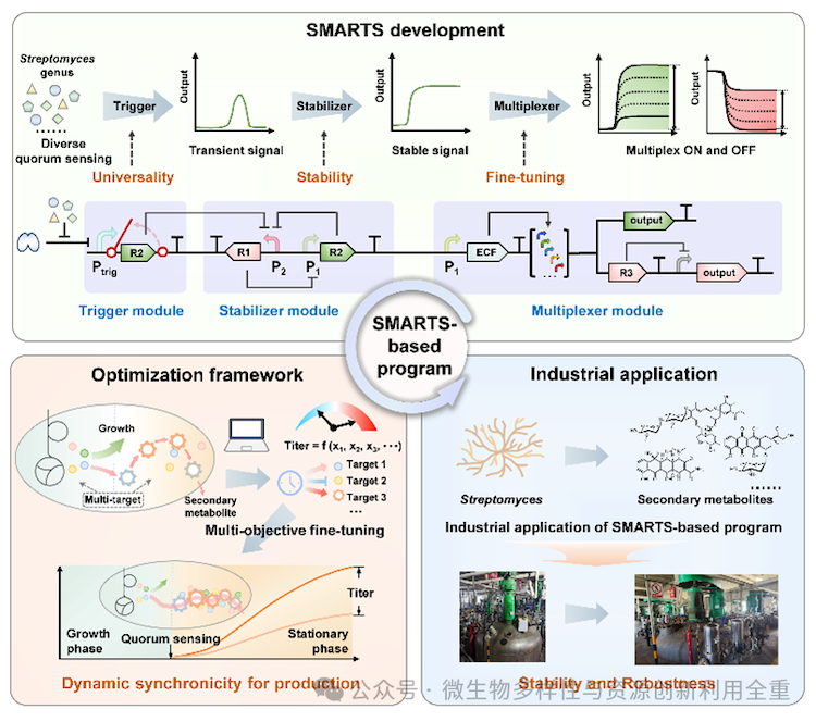 1755556868449251.png 2.1.png