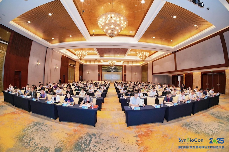 1756039785585017.jpg 1.1.jpg