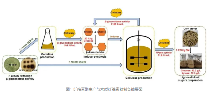 1757466951407941.png image.png