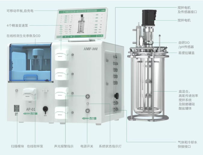 1758098580857020.png image.png