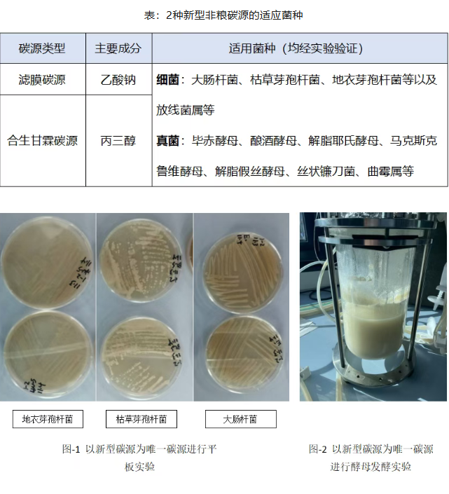 1764061729110187.png image.png