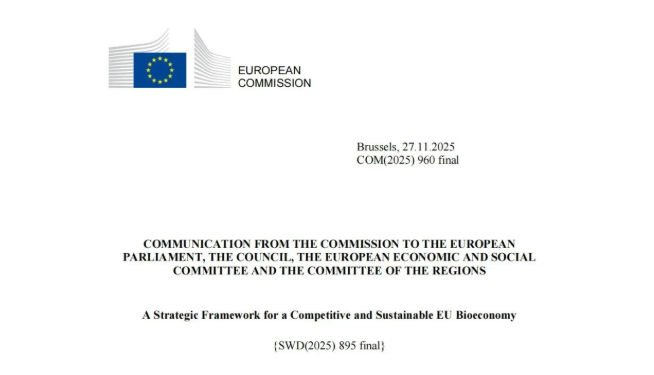 1764825300938480.png image.png