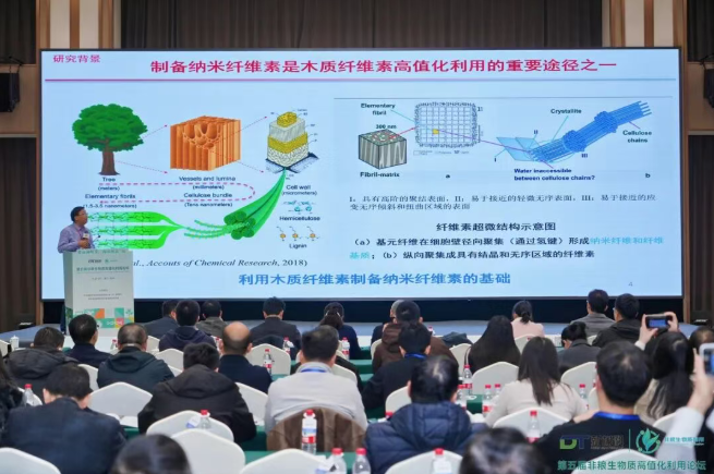 1764825975121048.png image.png