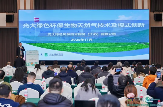 1764826087128010.png image.png