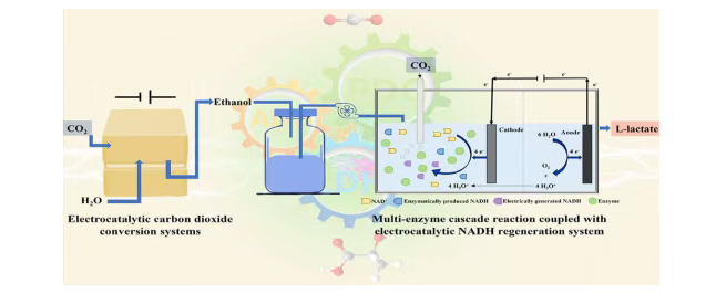 1765272409119813.png image.png