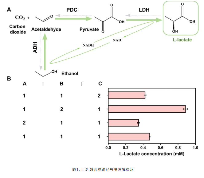 1765272424376958.png image.png