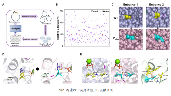 1765272445120717.png image.png