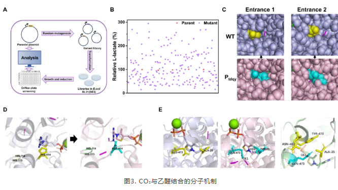 1765272463271616.png image.png