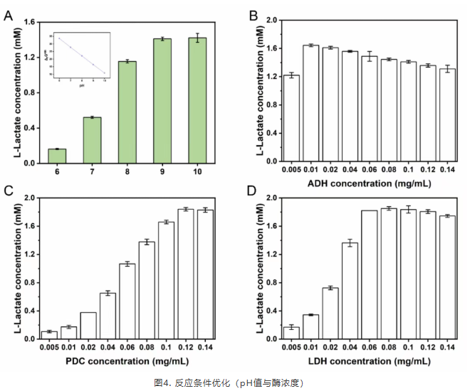 1765272477925226.png image.png