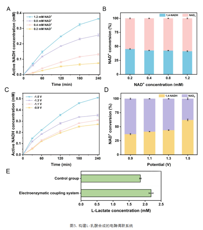 1765272495875223.png image.png