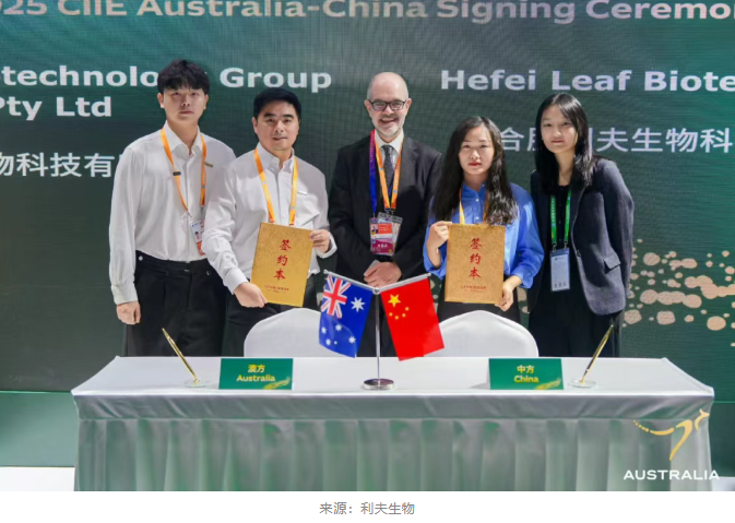 1767517215482595.png image.png