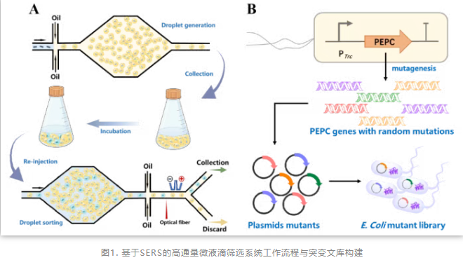 1768789250419618.png image.png