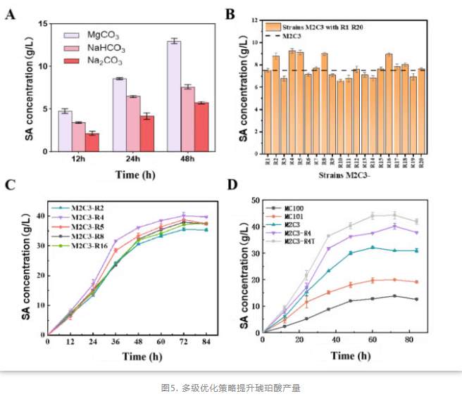 1768789569135589.png image.png