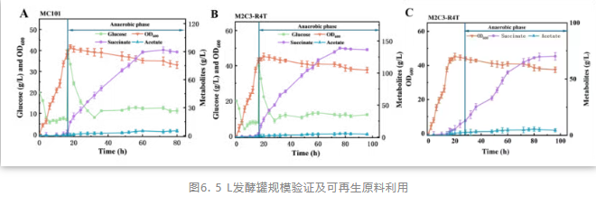 1768789588803482.png image.png