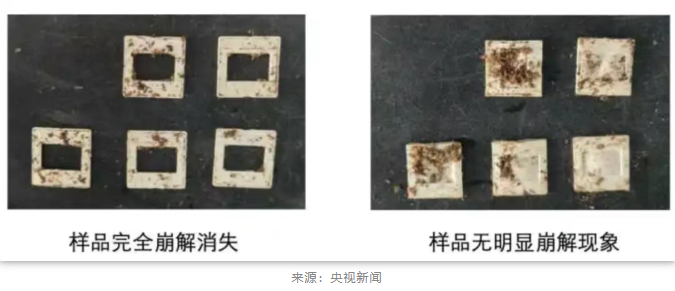 1771902973735275.png image.png