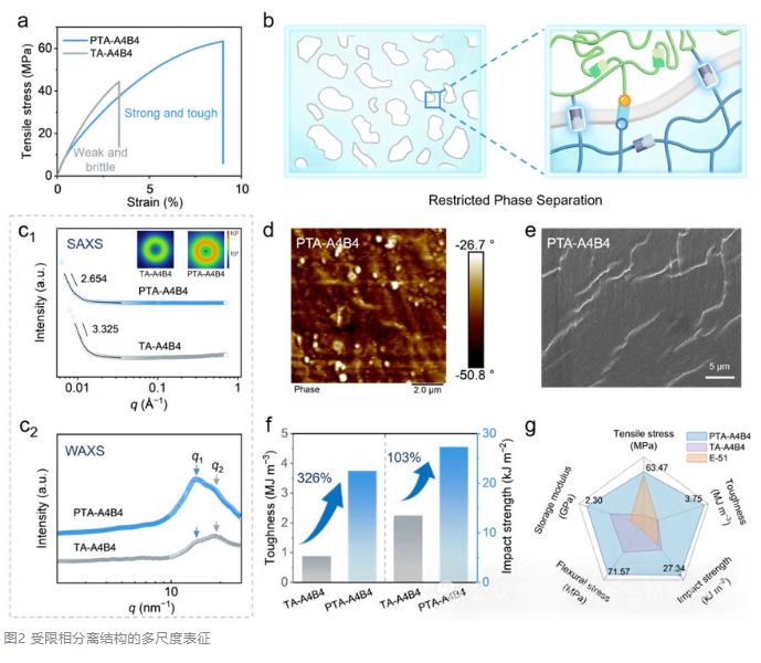 1772071964231137.png image.png