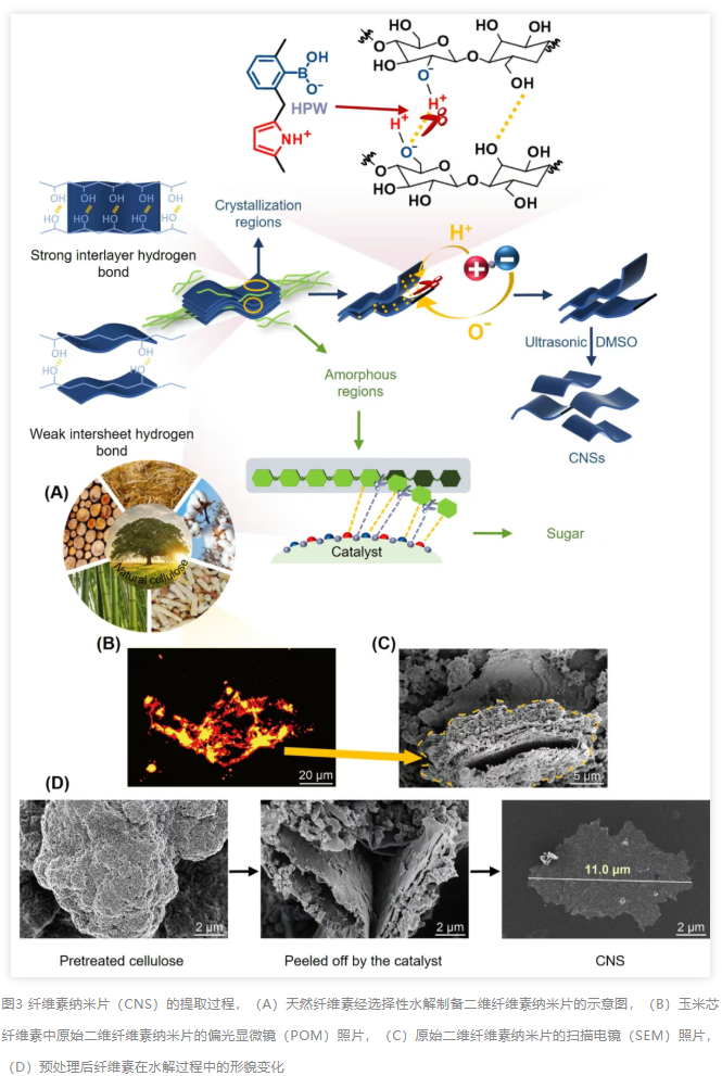 1774922286675651.png image.png