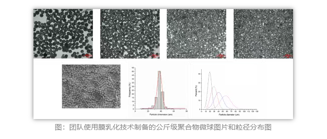 1775028423778510.png image.png