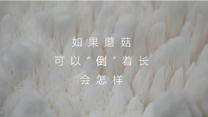 1784076590450490.png image.png