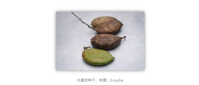 1791619176262778.png image.png